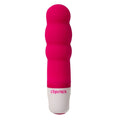 CONTROL - Velvet Secret Mini Vibrator
