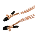 COQUETTE - Chic Desire Fantasy Nippelklemmer i metall med kjede