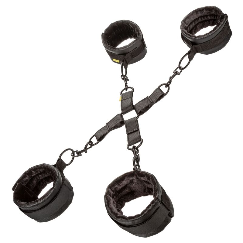 CALEXOTICS - Hogtie-sett