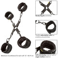 CALEXOTICS - Hogtie-sett