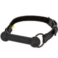 CALEXOTICS - Boundless Bar-gag