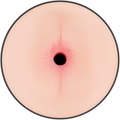 JAMYJOB - Randy Vagina- & Anus-masturbator