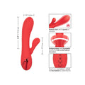CALEXOTICS - California Dreaming Palisades Passion Rabbitvibrator med varme