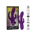 CALEXOTICS - Long Beach Bootylicious Rabbitvibrator