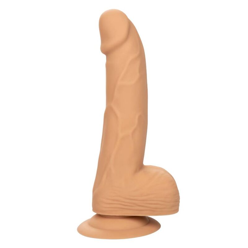 CALEXOTICS - Silicone Studs Realistisk dildo 15 cm