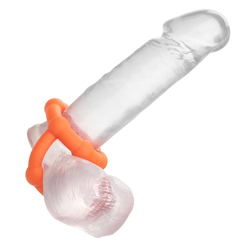 CALEXOTICS - Alpha All Star Penis- og pungring