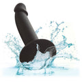 CALEXOTICS - Slim Anal Stud Analplugg med sugekopp