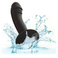 CALEXOTICS - Silicone Curved Anal Stud med Sugekopp