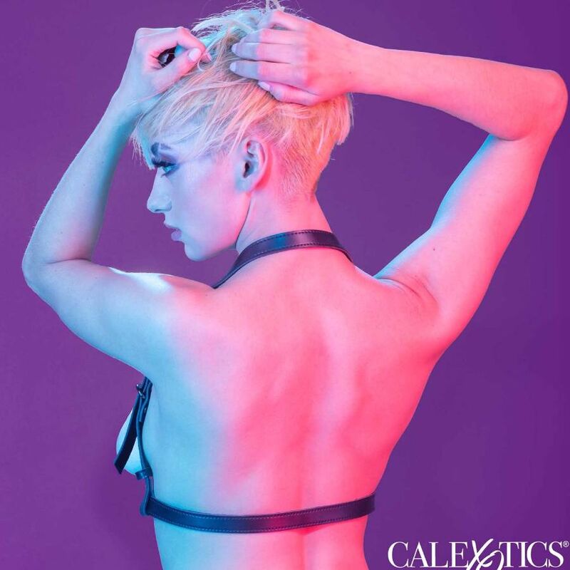 CALEXOTICS - Euphoria Halter Buckle Body Harness