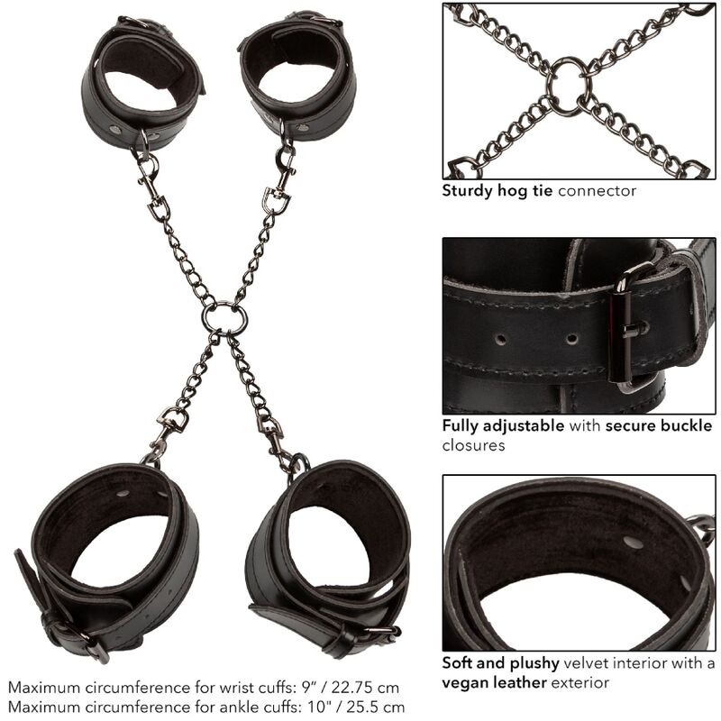 CALEXOTICS - Hogtie-sett
