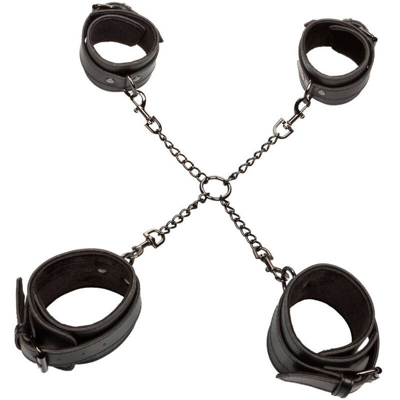 CALEXOTICS - Hogtie-sett