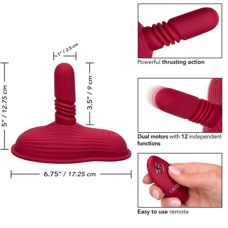 CALEXOTICS - Dual Rider Ride-on Vibrator med Støt og Fjernkontroll