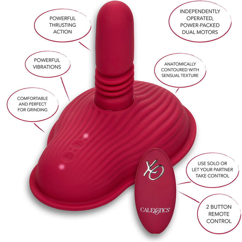CALEXOTICS - Dual Rider Ride-on Vibrator med Støt og Fjernkontroll