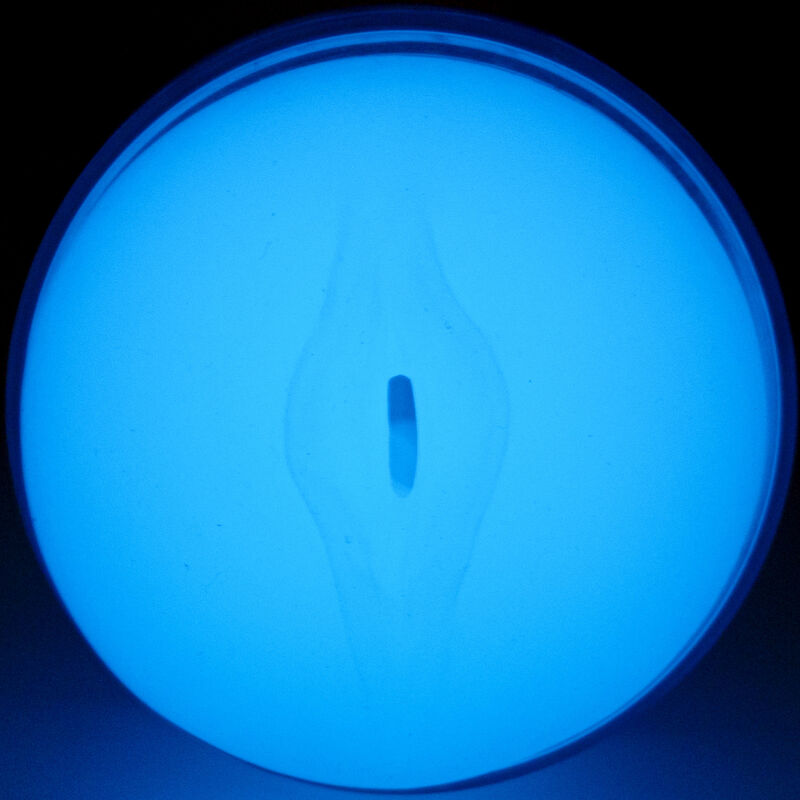 KIIROO - Feel Selvlysende Vagina-masturbator