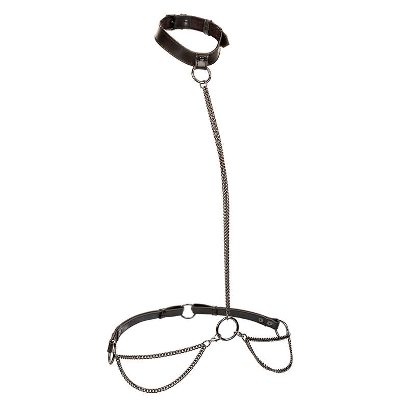 CALEXOTICS - Euphoria Kjede-halter Halsbånd & Leash
