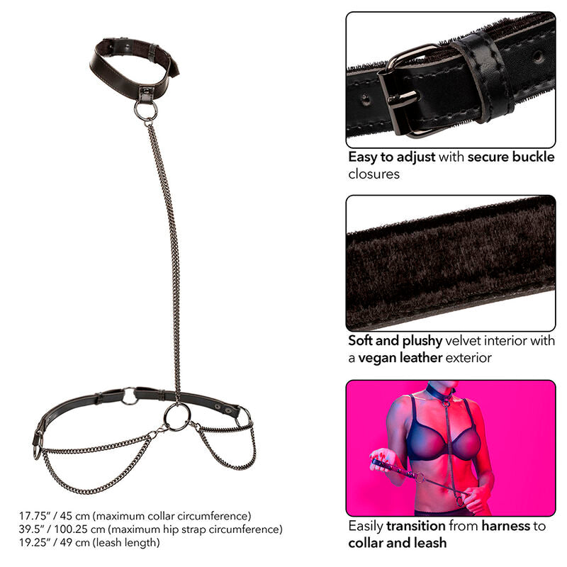 CALEXOTICS - Euphoria Kjede-halter Halsbånd & Leash