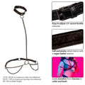 CALEXOTICS - Euphoria Kjede-halter Halsbånd & Leash