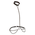CALEXOTICS - Euphoria Kjede-halter Halsbånd & Leash