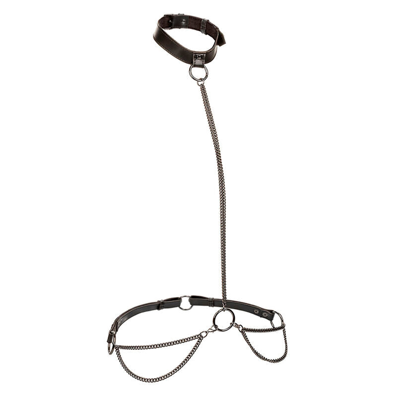 CALEXOTICS - Euphoria Kjede-halter Halsbånd & Leash
