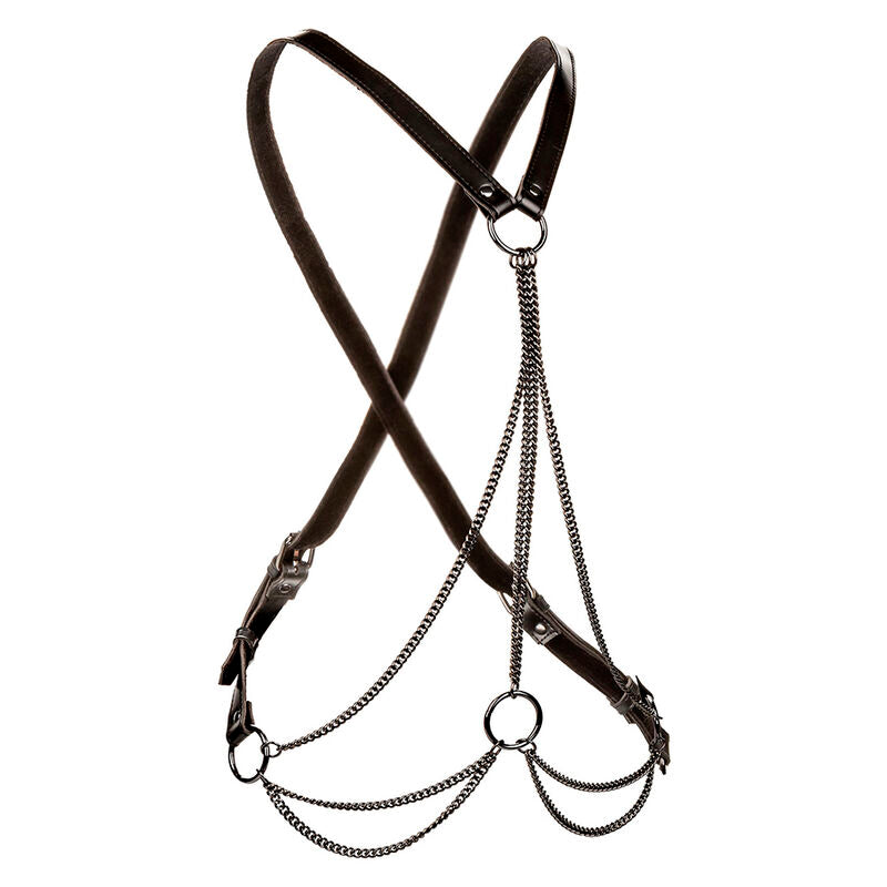 CALEXOTICS - Bondageharness