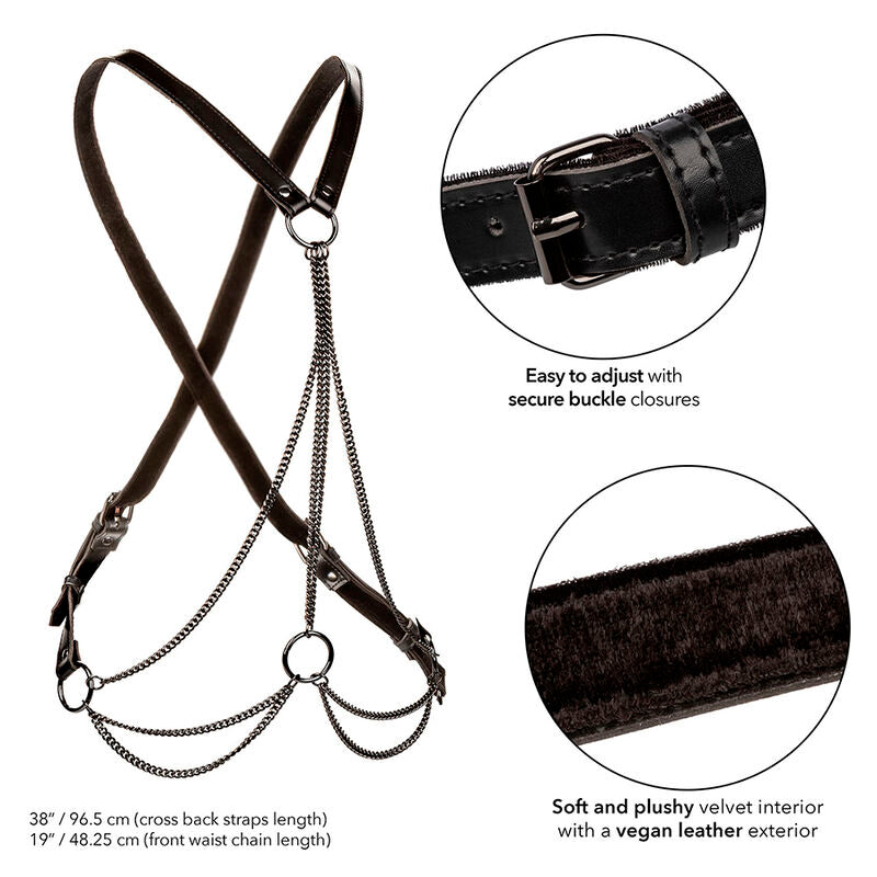 CALEXOTICS - Bondageharness
