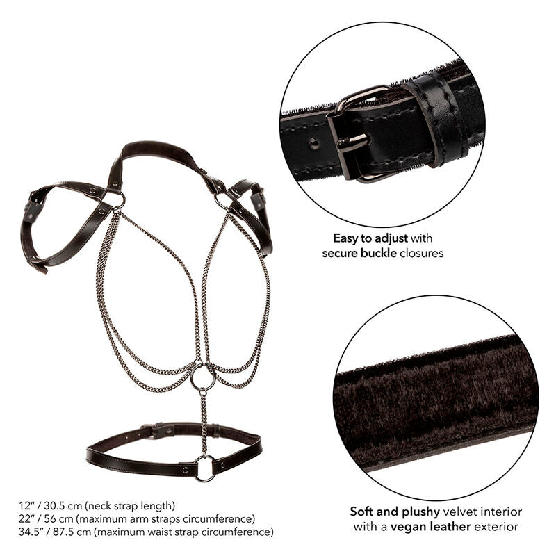 CALEXOTICS - Bondageharness