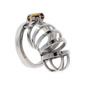 HIDDEN DESIRE - Extreme Chastity Penisbur i Metall