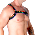 MACHO - Roman Harness Pride