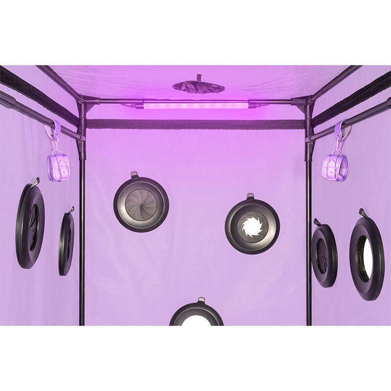 SECRET DOME - Kink Club Cabin Scandale