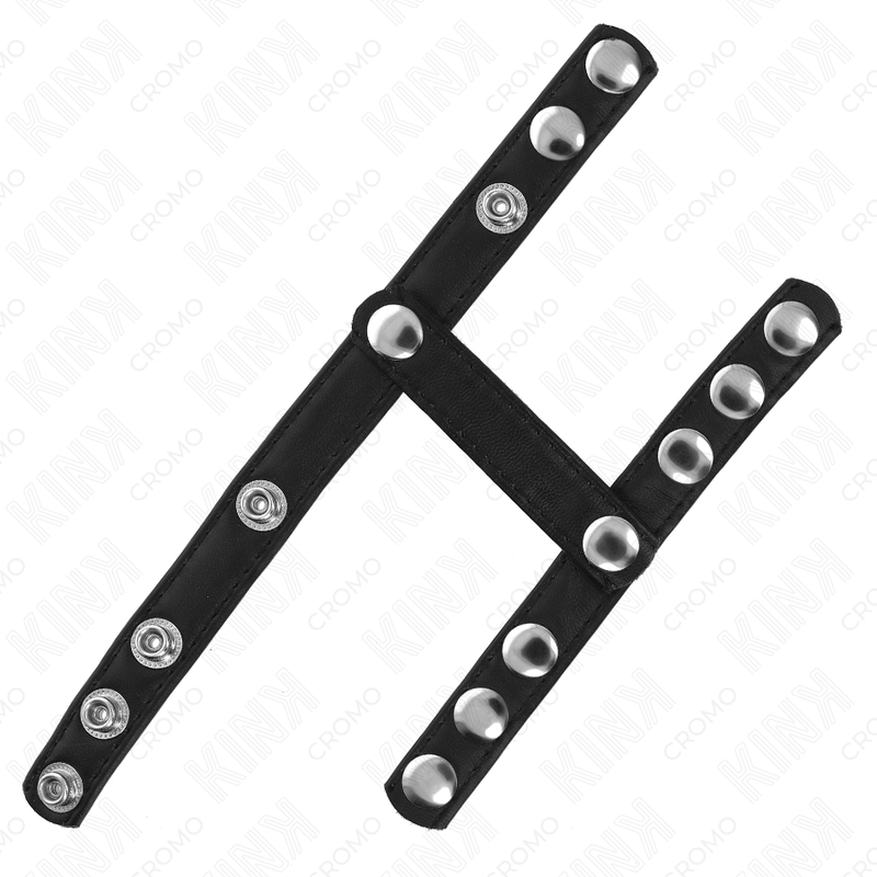 KINK - Splitter Penis- & Pungring
