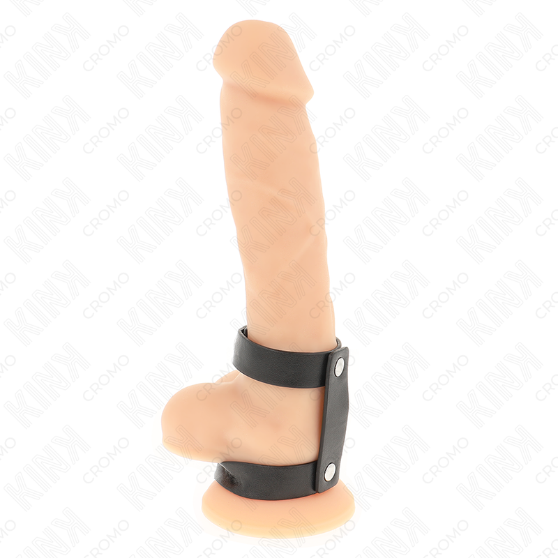KINK - Penis- & Pungring