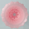 Farge: Rosa