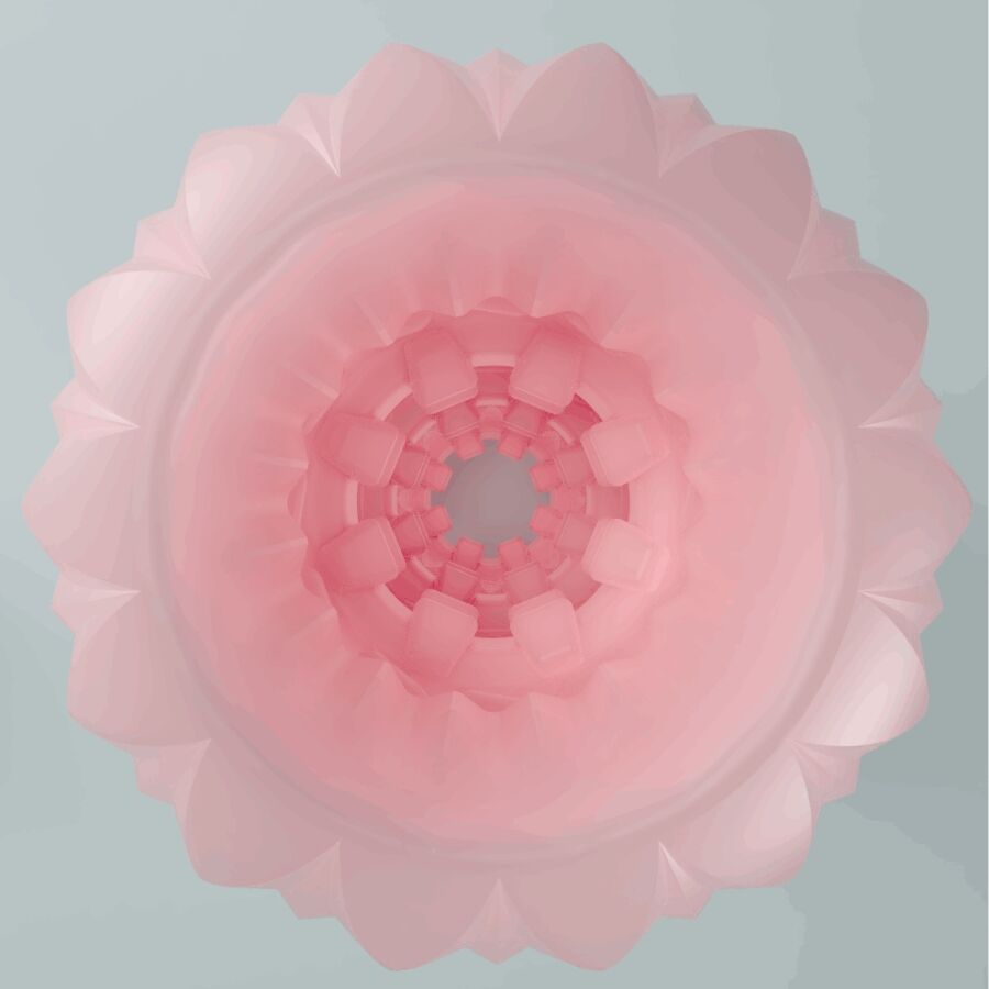 Farge: Rosa