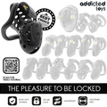 ADDICTED TOYS LOCKED - Chained Hollow Penisbur 10,5 cm