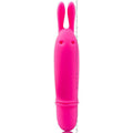 PRETTY LOVE - Flirtation Boyce Minivibrator