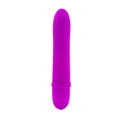 PRETTY LOVE - Flirtation Beck Minivibrator