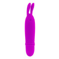PRETTY LOVE - Flirtation Boyce Minivibrator