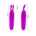 PRETTY LOVE - Flirtation Boyce Minivibrator