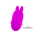 PRETTY LOVE - Flirtation Boyce Minivibrator