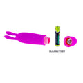 PRETTY LOVE - Flirtation Boyce Minivibrator