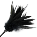 DARKNESS - Ridepisk med Fjær Sort 48 cm