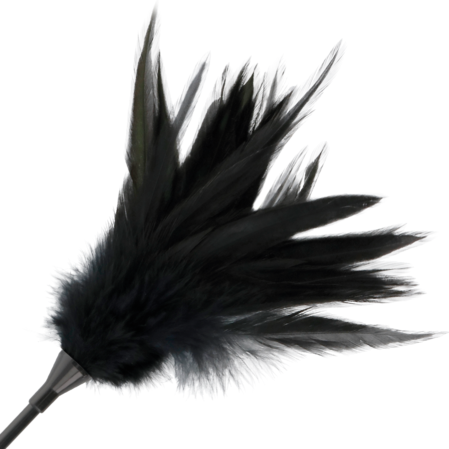 DARKNESS - Ridepisk med Fjær Sort 48 cm