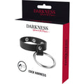 DARKNESS - Penis- & Pungring