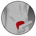 ELECTRASTIM - Silicone Fusion Viper Elektro Penisskjold